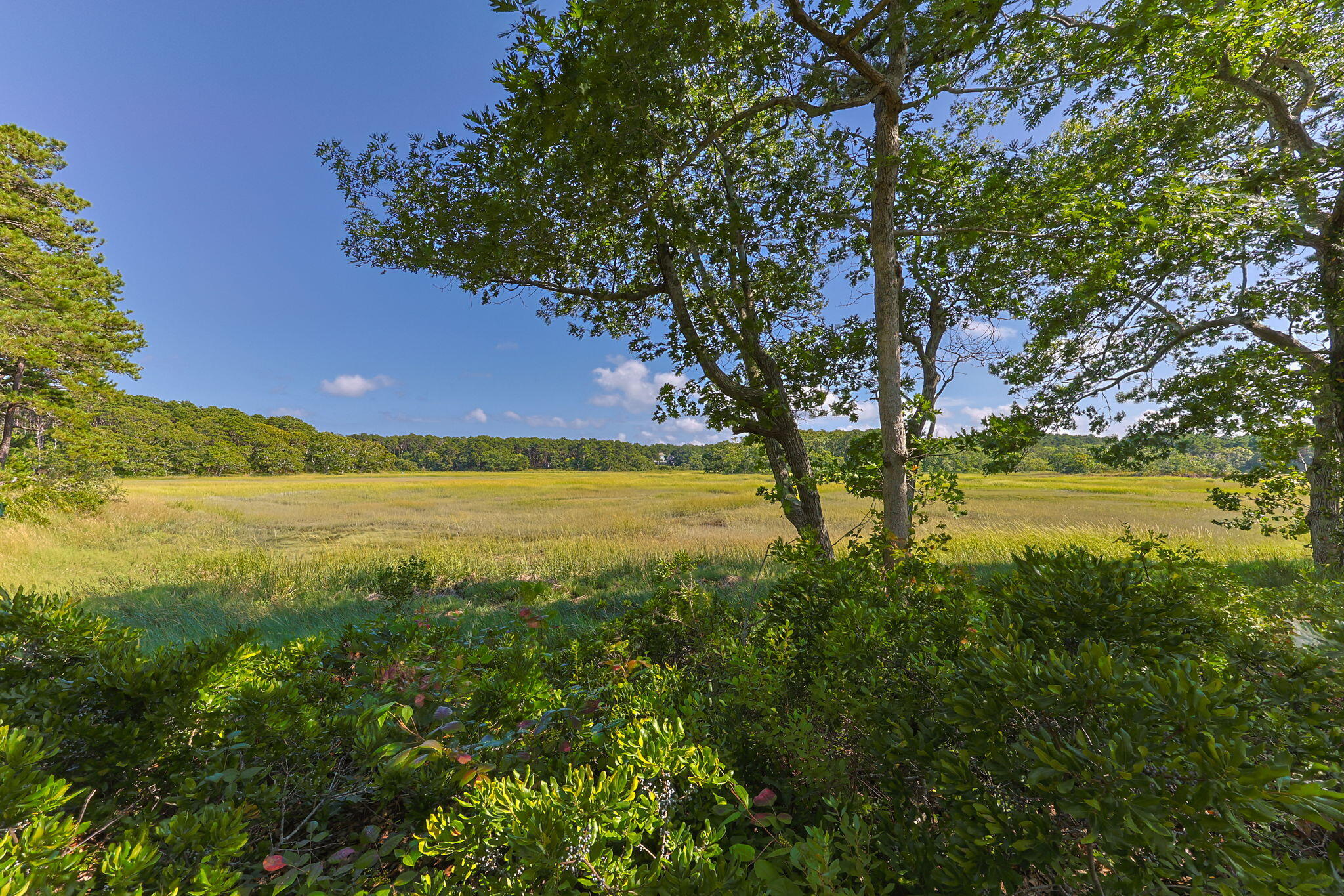 56 Warren Road Wellfleet MA 02667