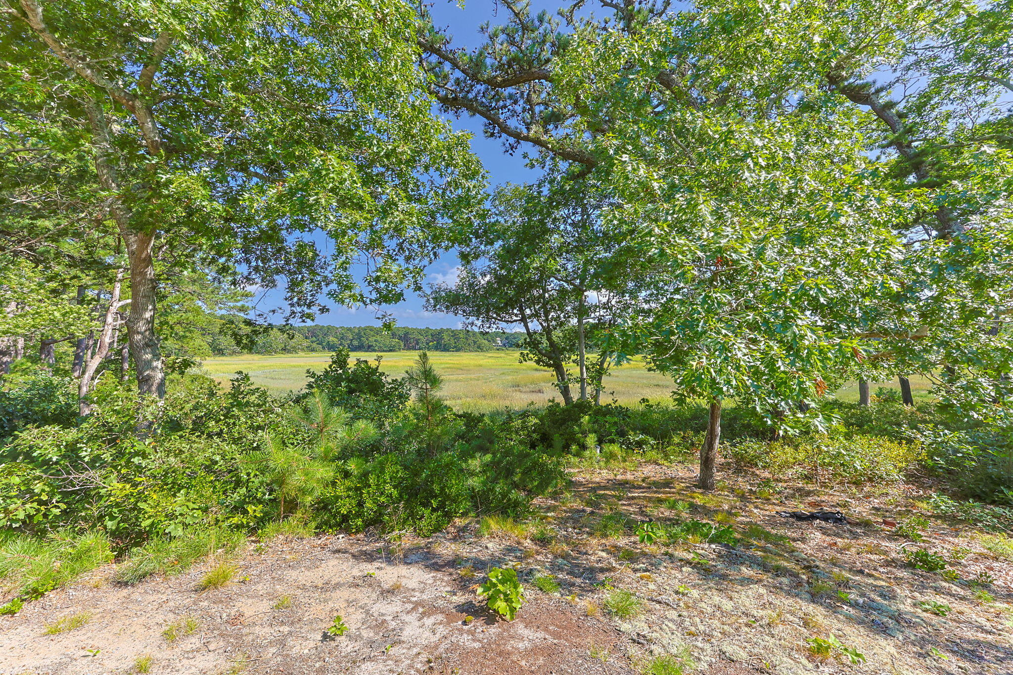 56 Warren Road Wellfleet MA 02667