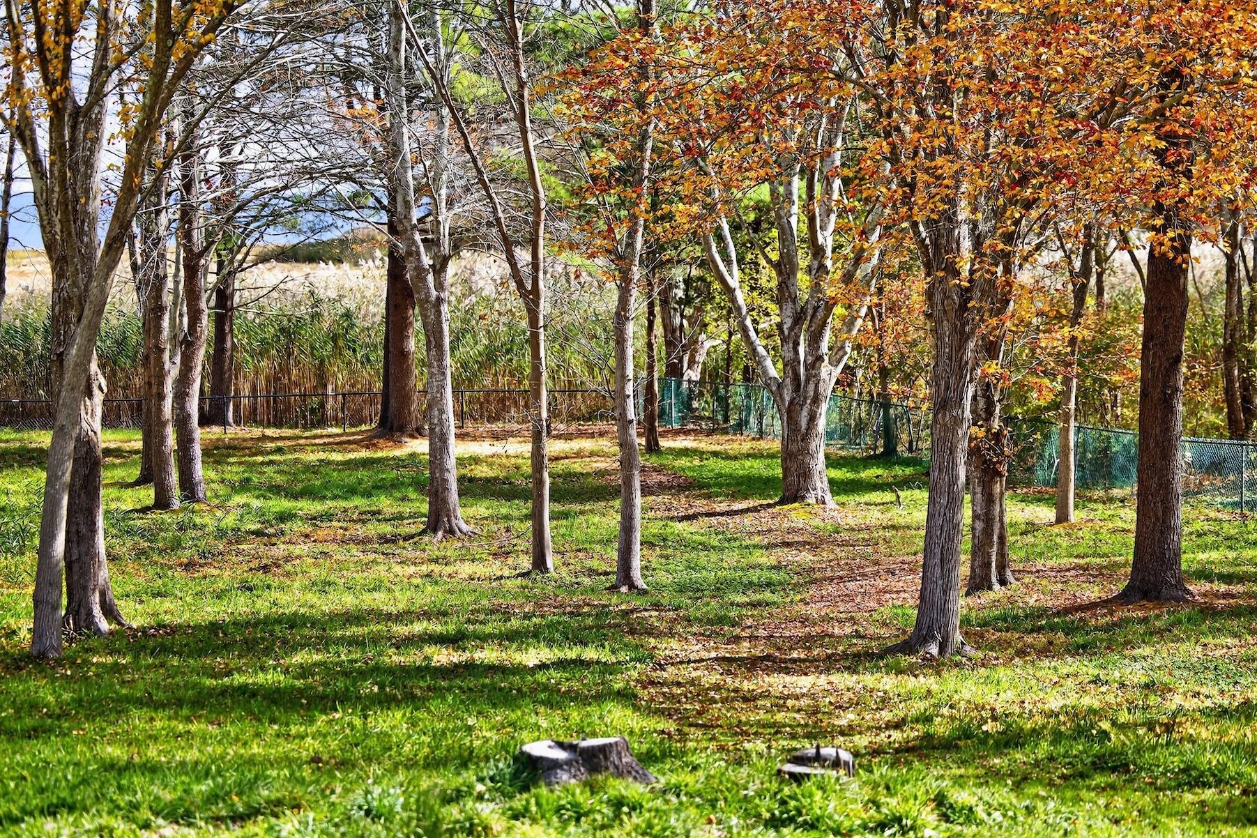 735 Bay Road Duxbury MA 02332