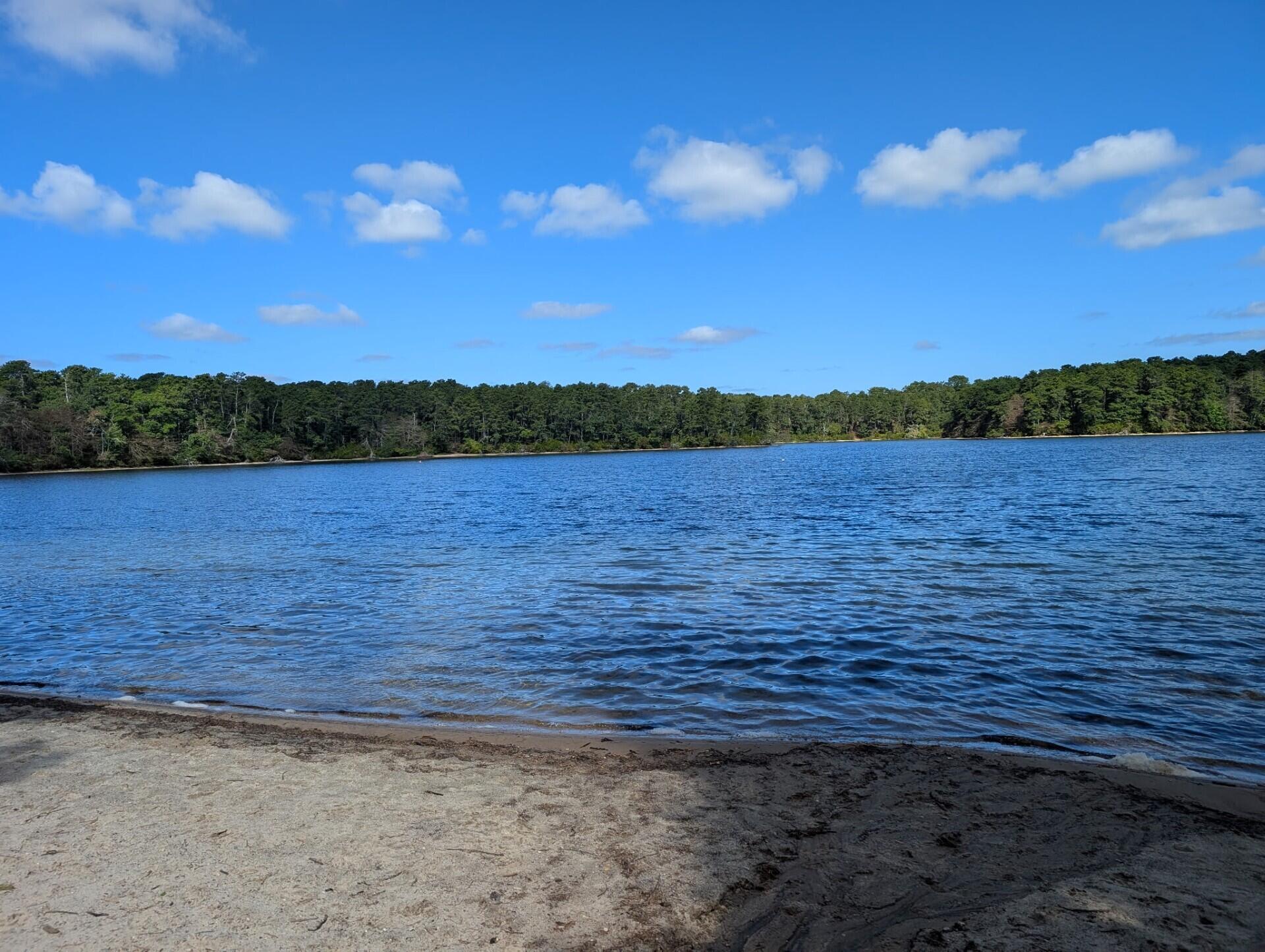 22 Cannon Hill Drive Harwich MA 02645