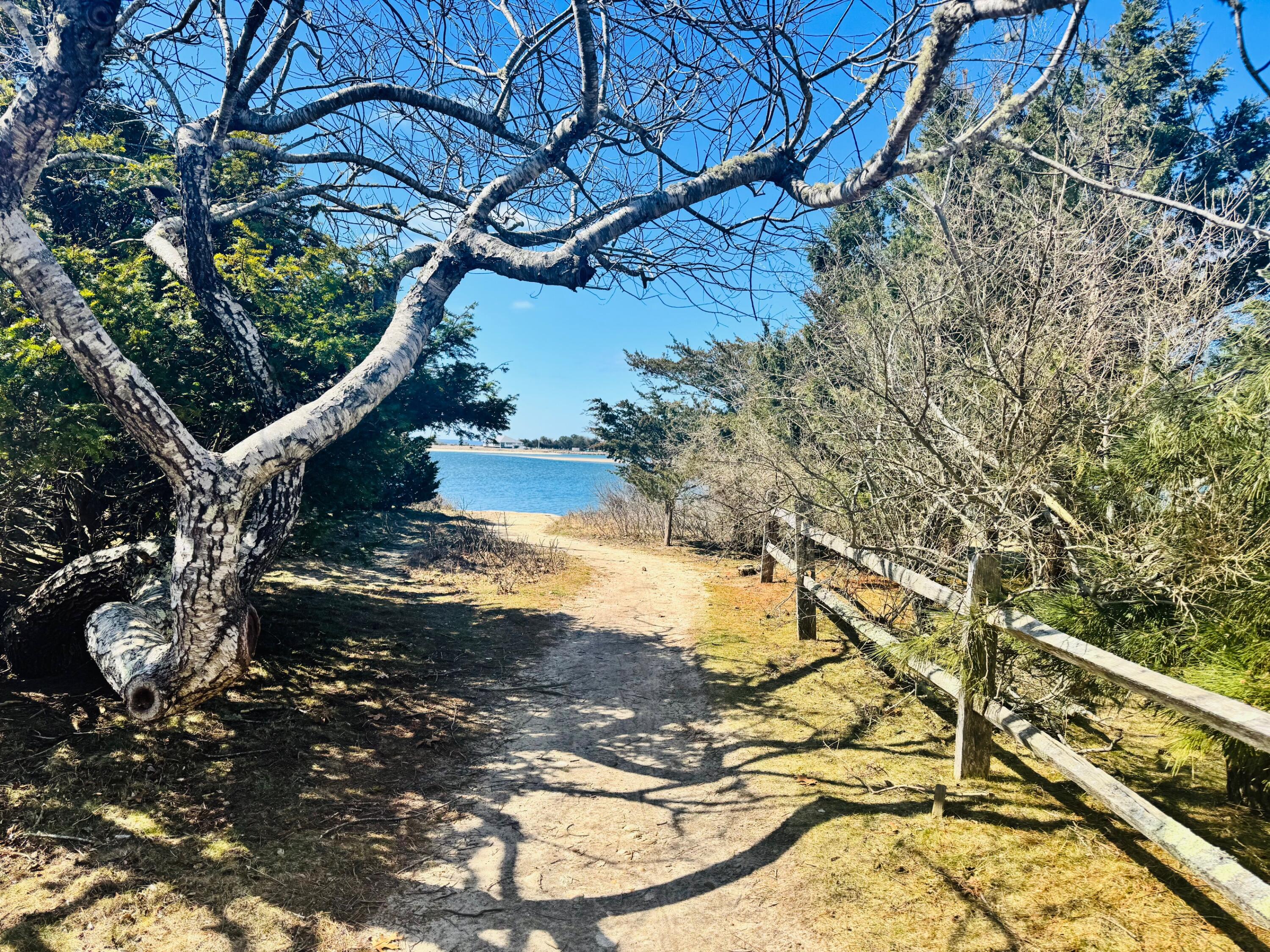 10 Knollwood Drive Falmouth MA 02536