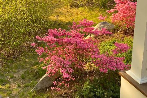 87 N Pond Drive Brewster MA 02631