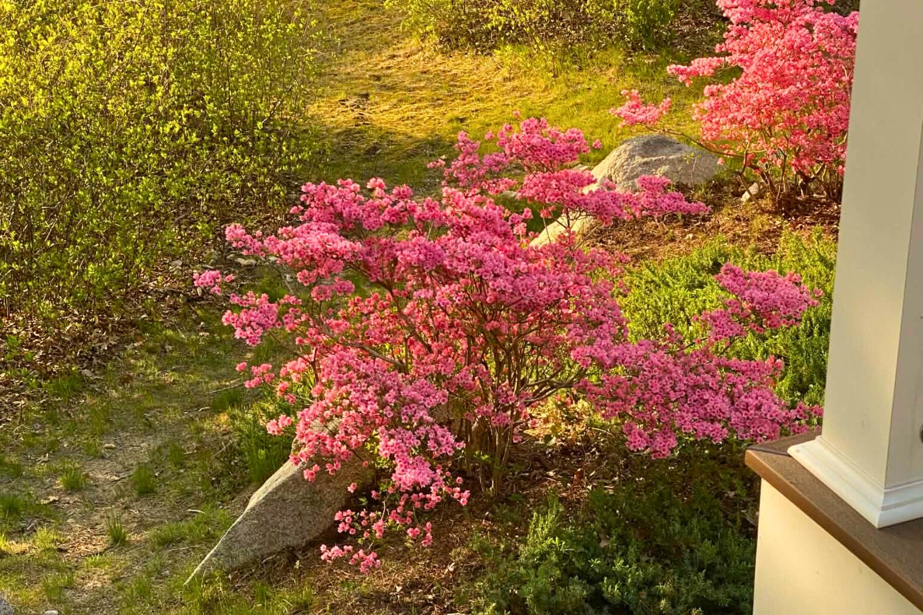 87 N Pond Drive Brewster MA 02631