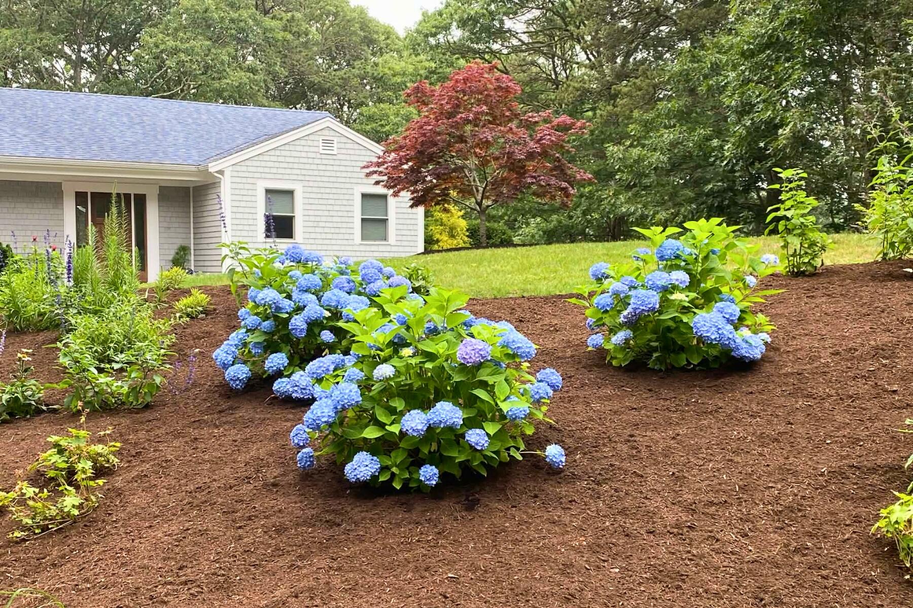 87 N Pond Drive Brewster MA 02631