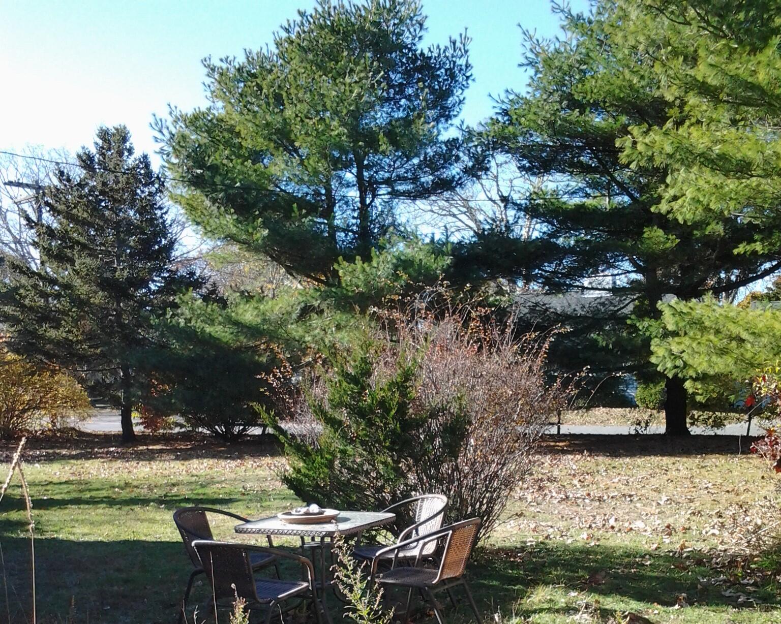 12 Walnut Street Barnstable MA 02601