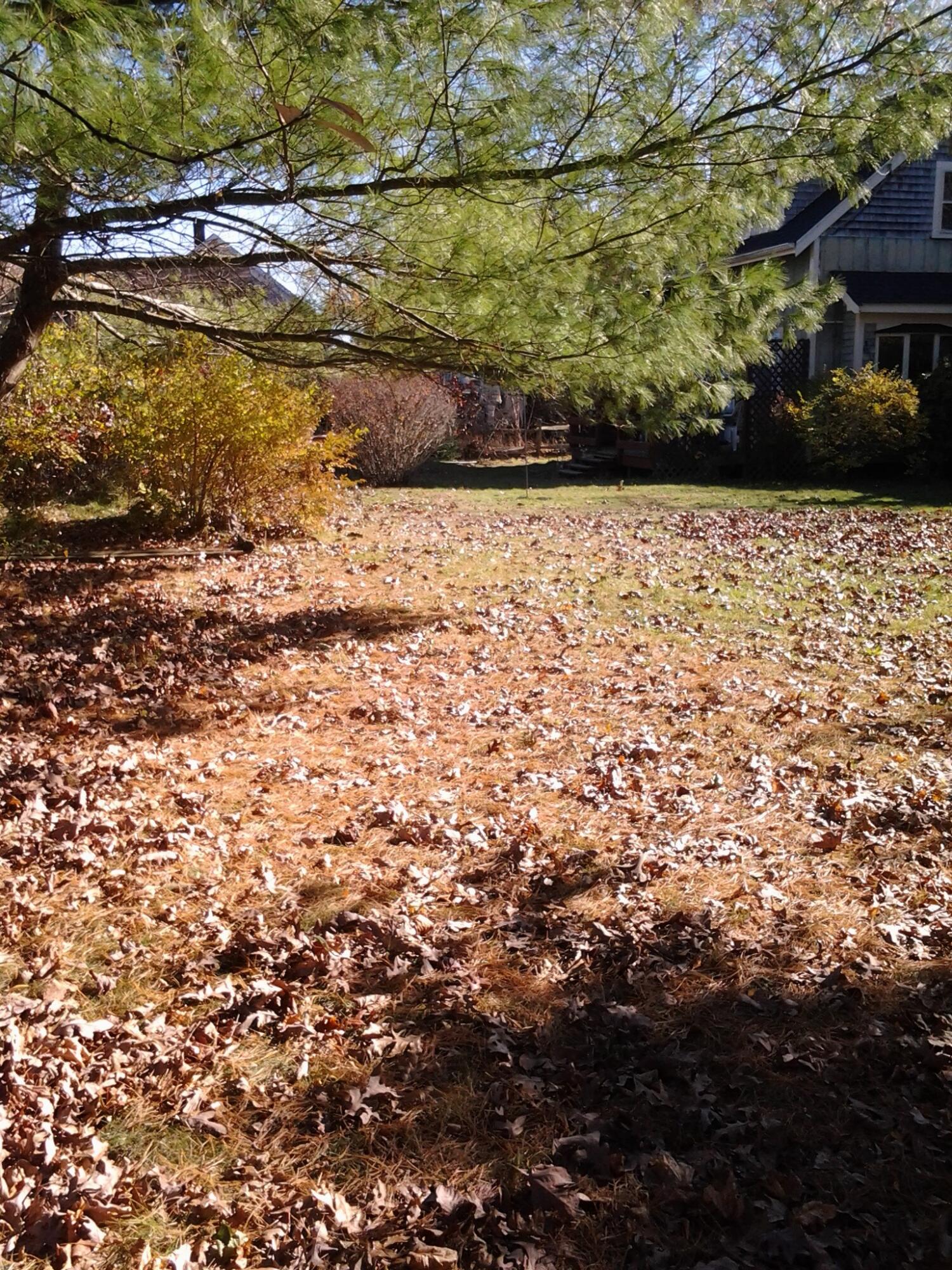 12 Walnut Street Barnstable MA 02601