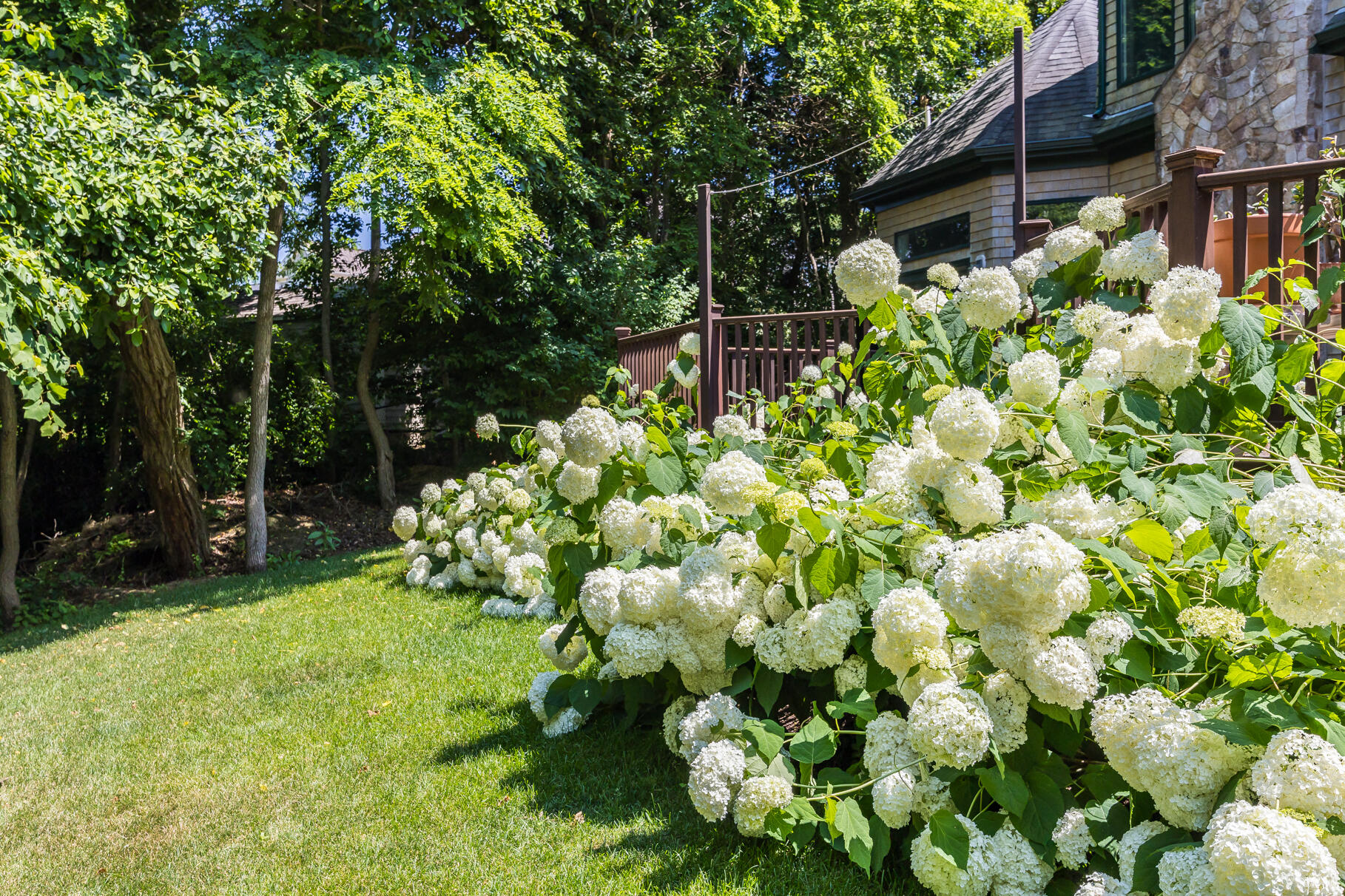 234 Cairn Ridge Road Falmouth MA 02536