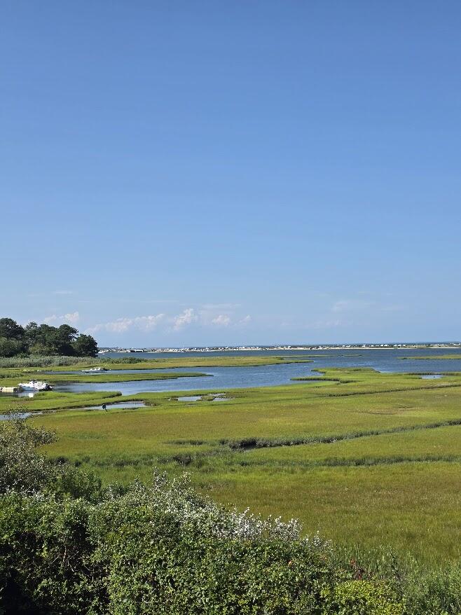 49 The Boulevard Edgartown MA 02539