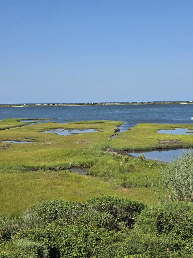 49 The Boulevard Edgartown MA 02539