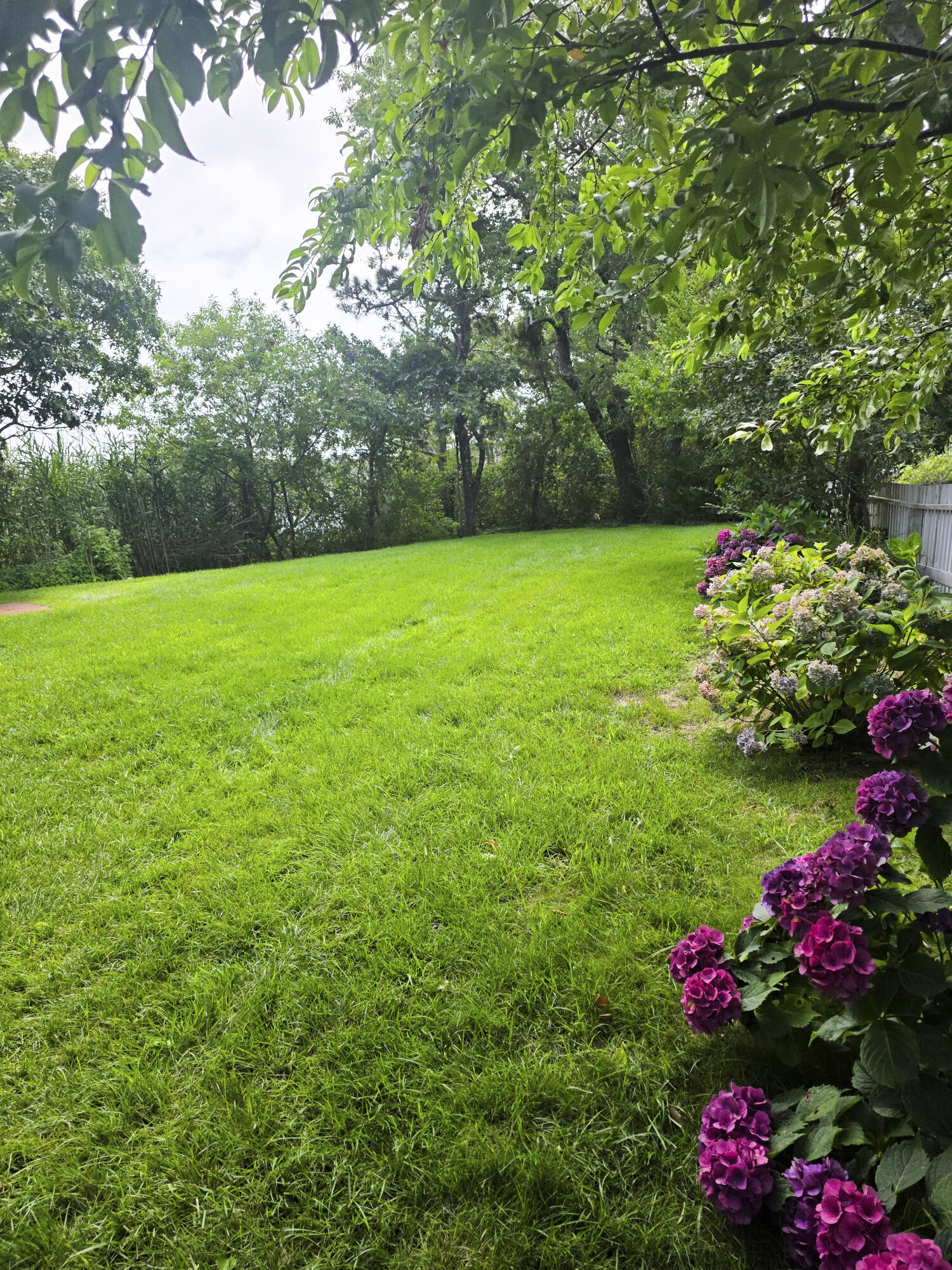 49 The Boulevard Edgartown MA 02539