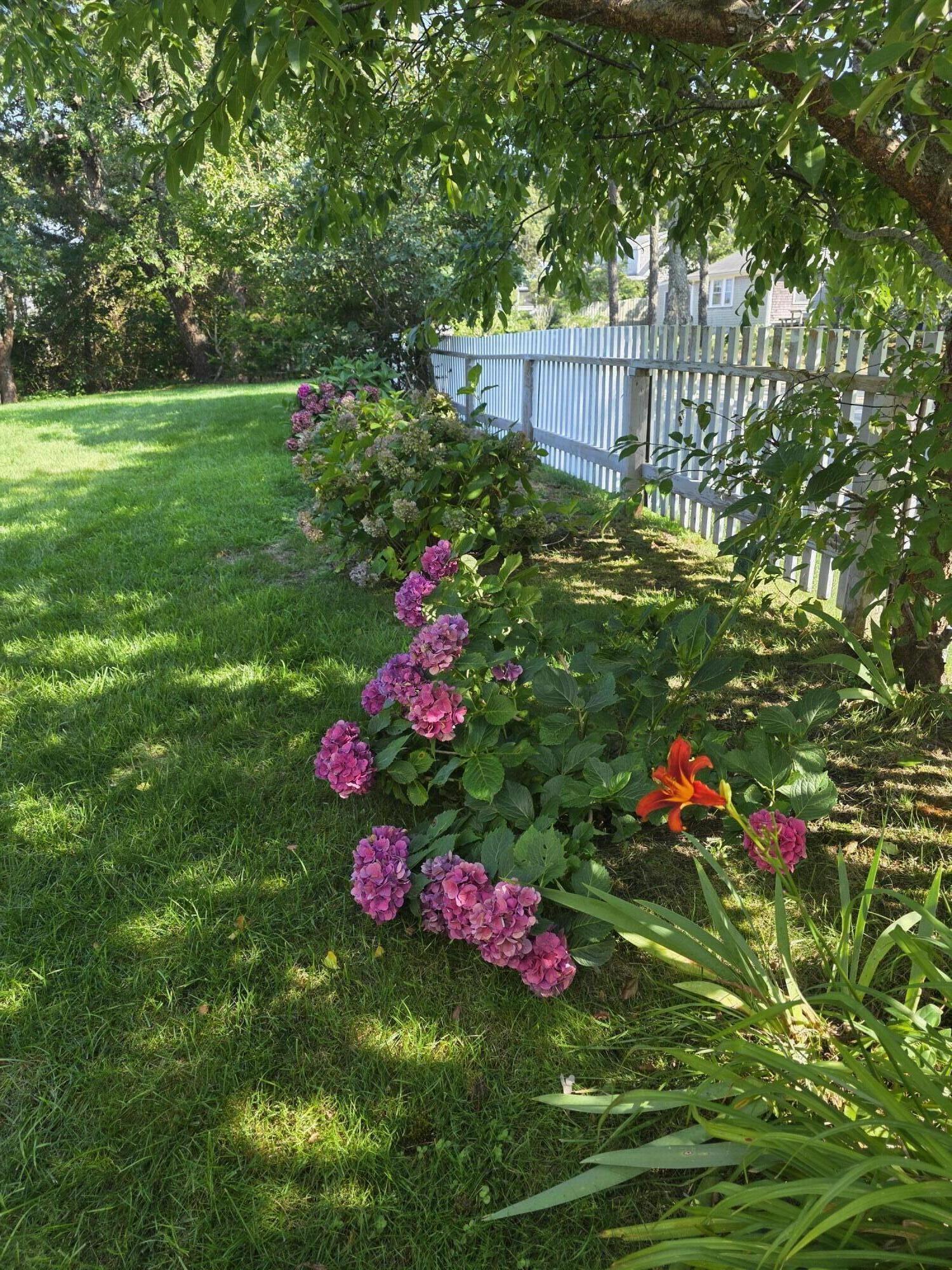 49 The Boulevard Edgartown MA 02539