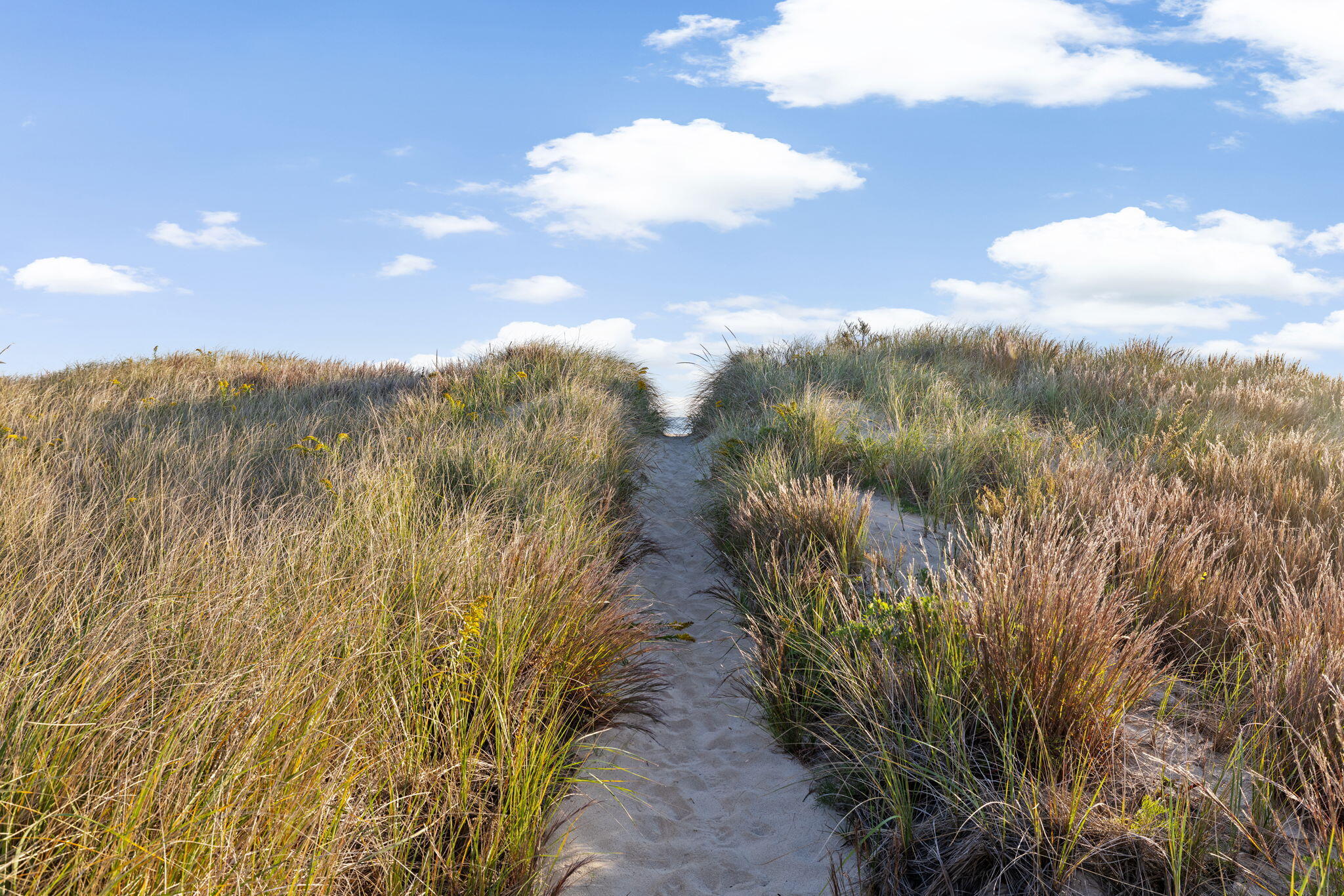 133 Phillips Road Bourne MA 02562