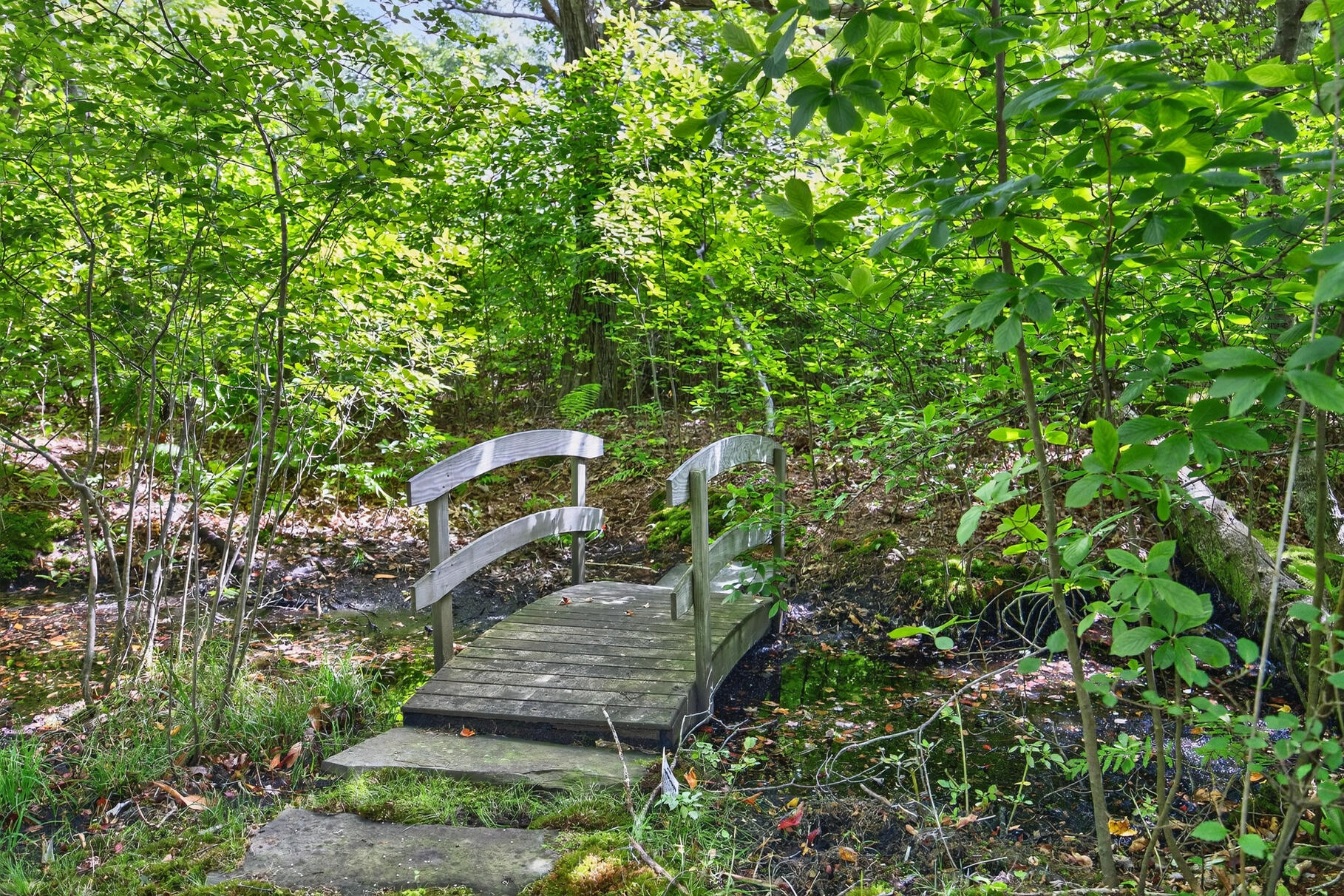 8 Rowley Lane Yarmouth MA 02675