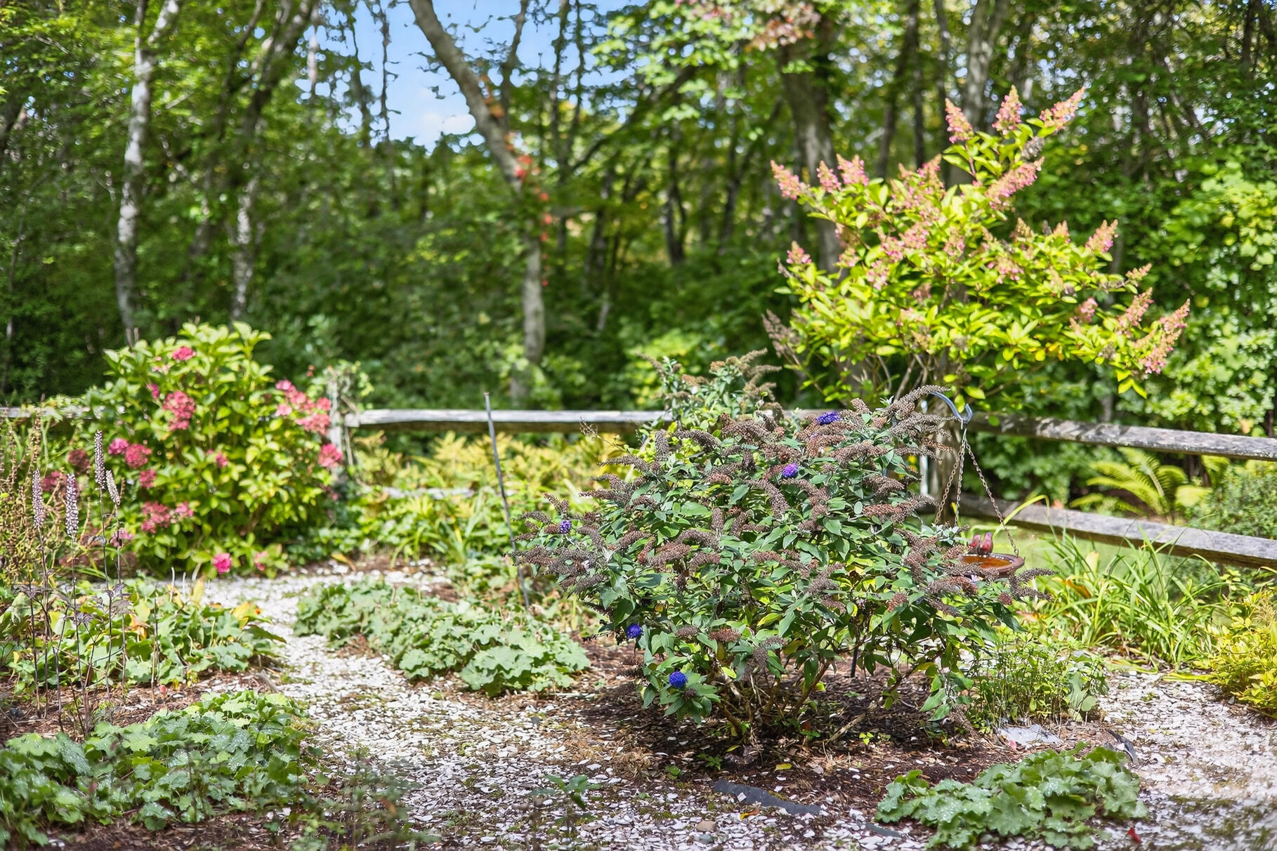 8 Rowley Lane Yarmouth MA 02675