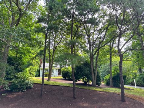 15 Surrey Lane Sandwich MA 02563