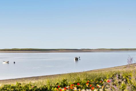 166 Shore Road Chatham MA 02633