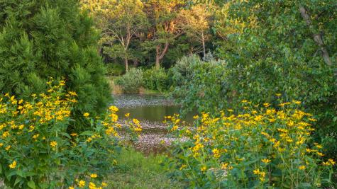 46A Roos Road East Sandwich MA 02537