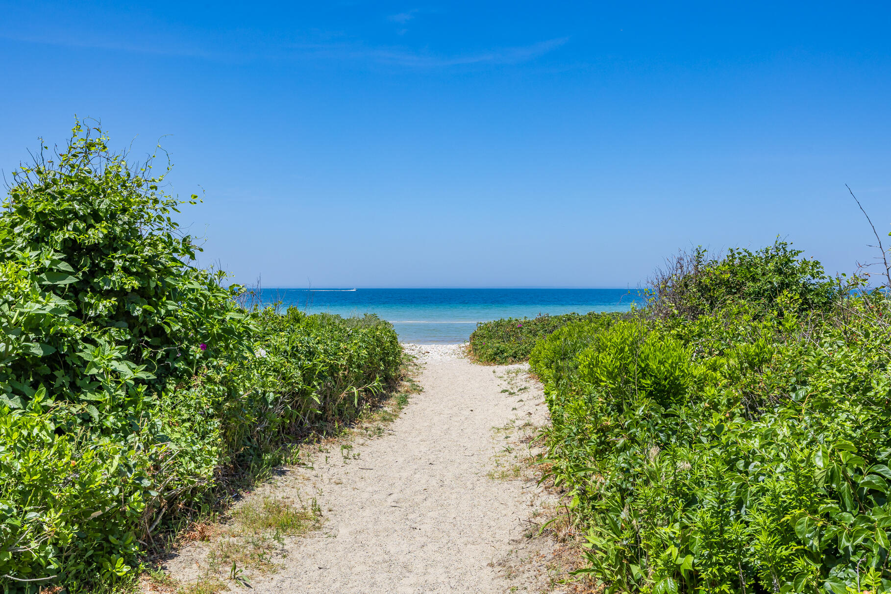 79 Clowes Drive Falmouth MA 02540