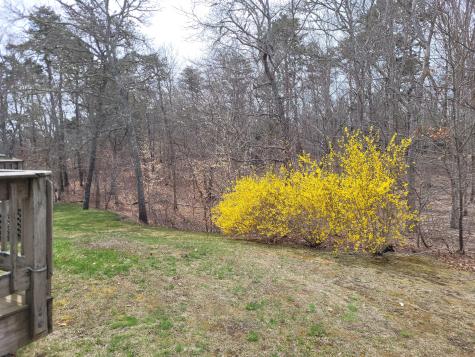 393 Thousand Oaks Drive Brewster MA 02631