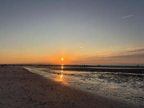 25 Horsefoot Path Dennis MA 02638