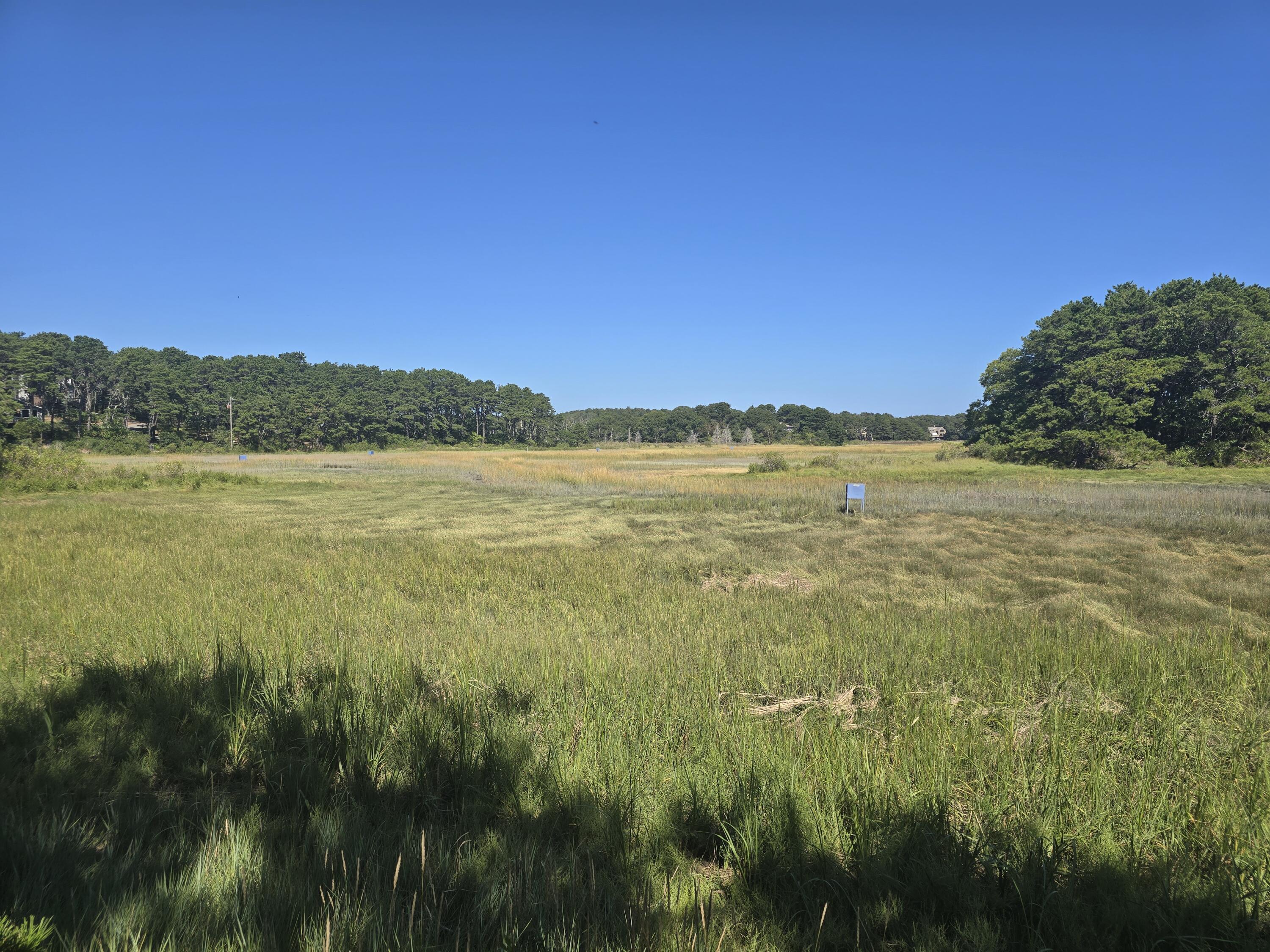 50 Anawan Road Wellfleet MA 02667