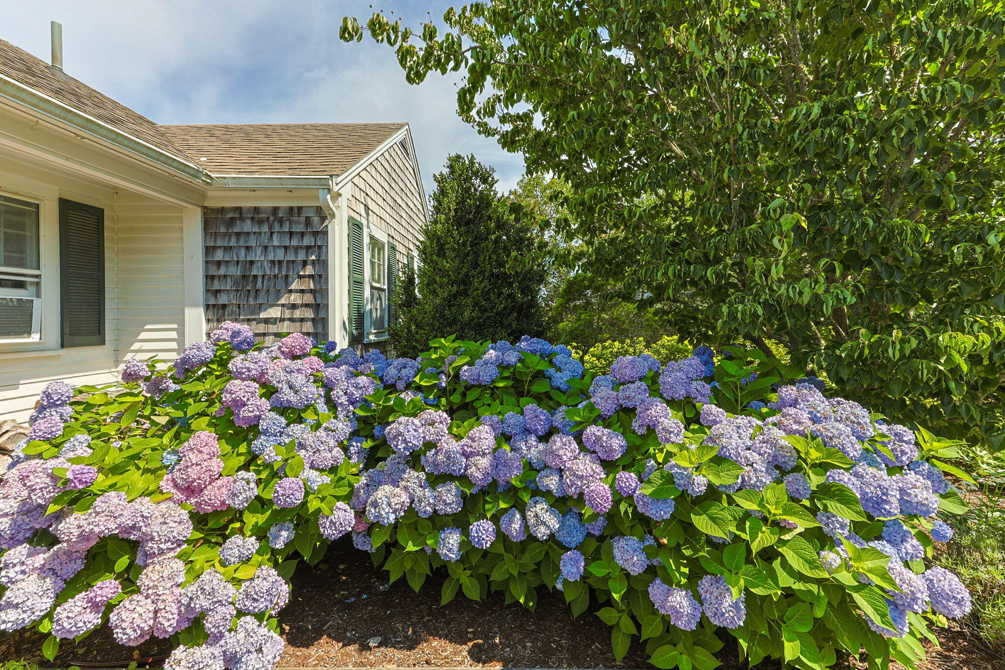 78 Indian Trail Chatham MA 02633