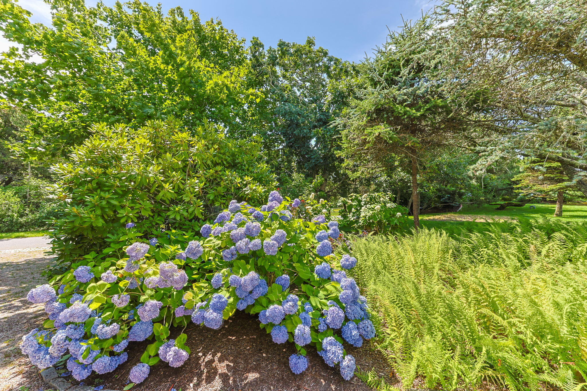 78 Indian Trail Chatham MA 02633