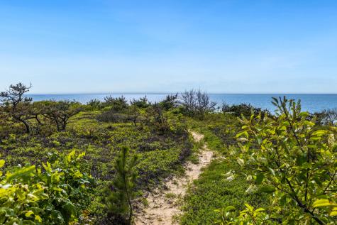 1400 Chequessett Neck Road Wellfleet MA 02667