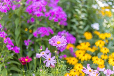 19 Willow Street Sandwich MA 02563