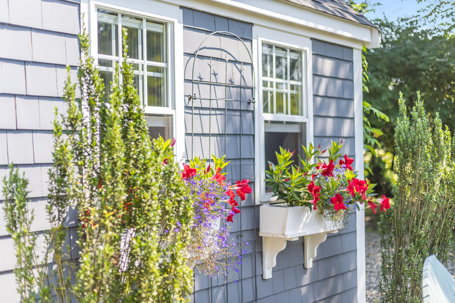 19 Willow Street Sandwich MA 02563