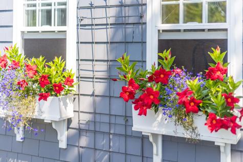 19 Willow Street Sandwich MA 02563