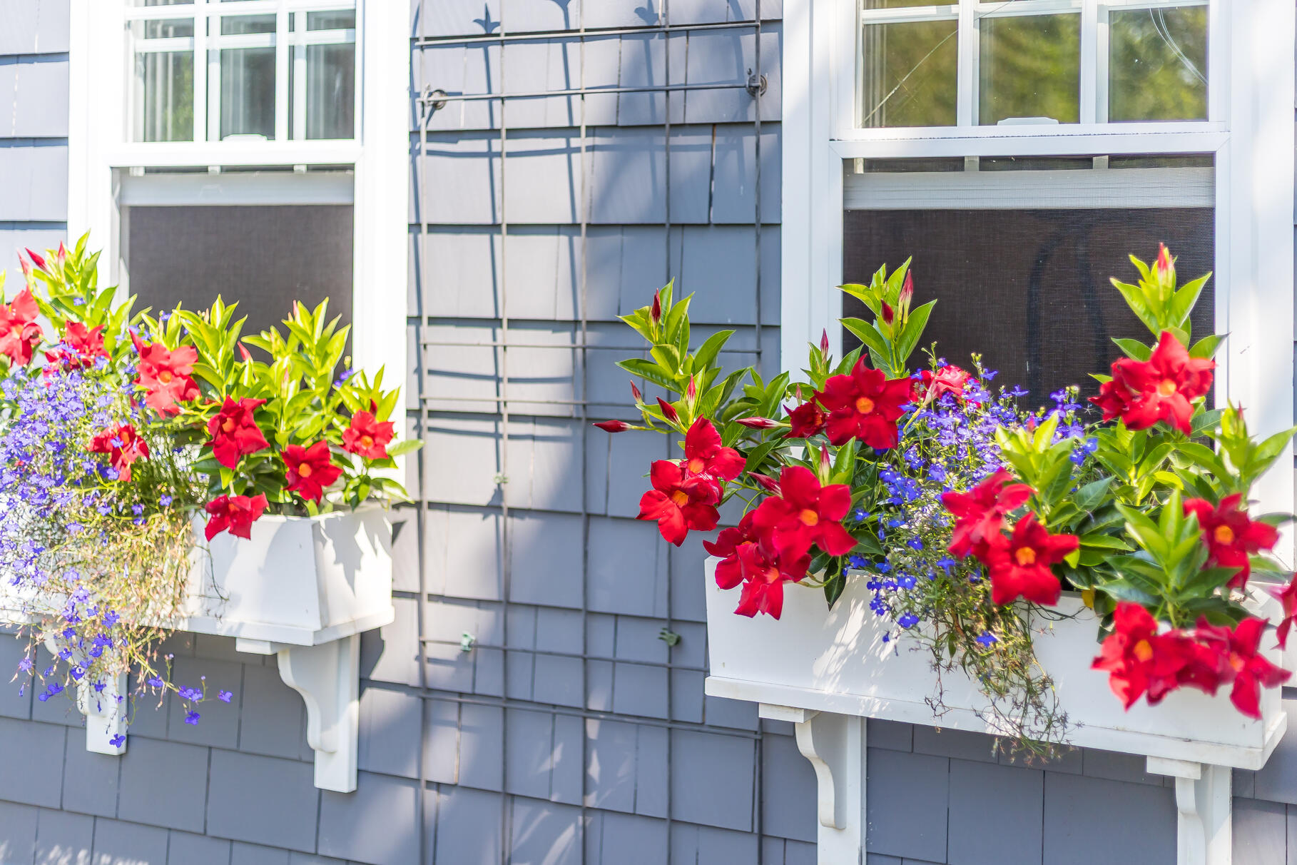 19 Willow Street Sandwich MA 02563