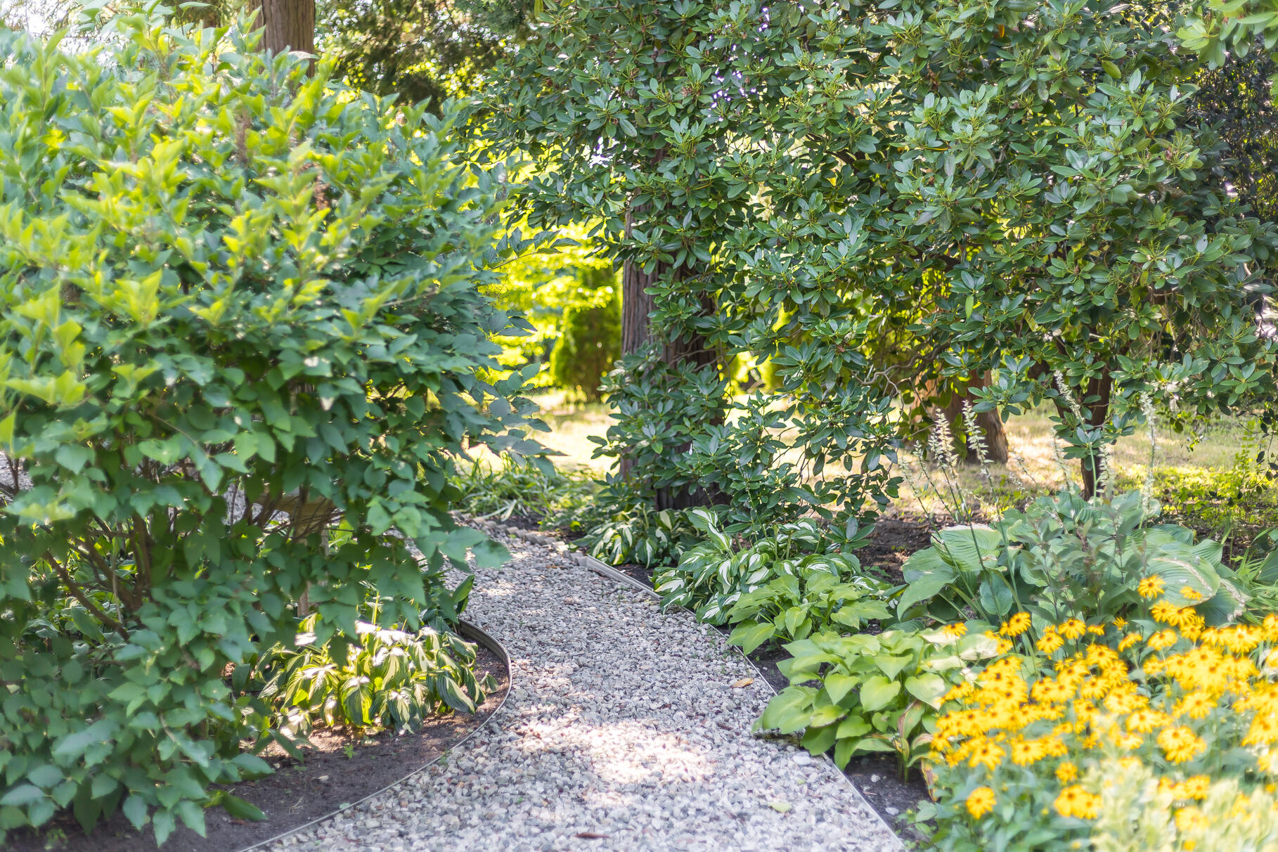 19 Willow Street Sandwich MA 02563