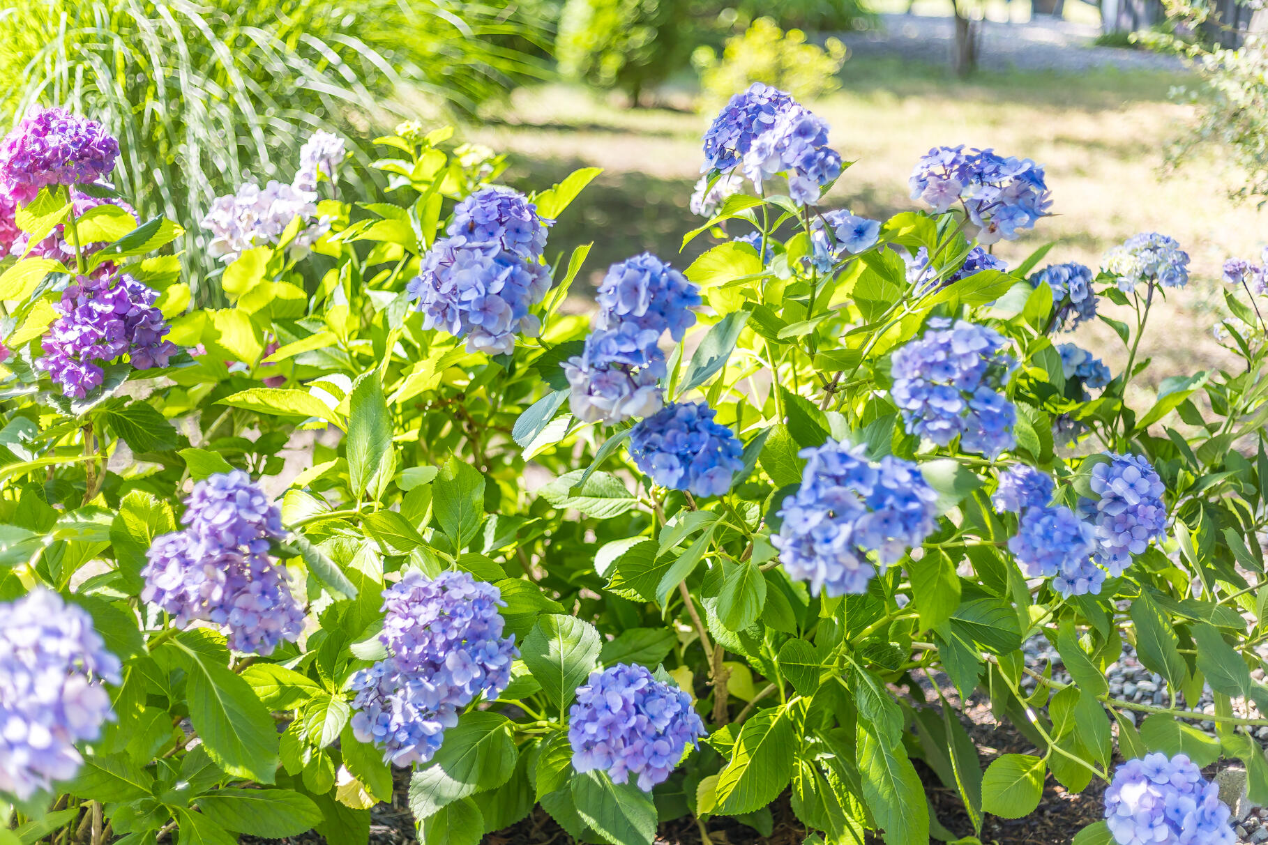 19 Willow Street Sandwich MA 02563