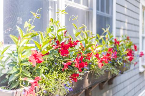 19 Willow Street Sandwich MA 02563