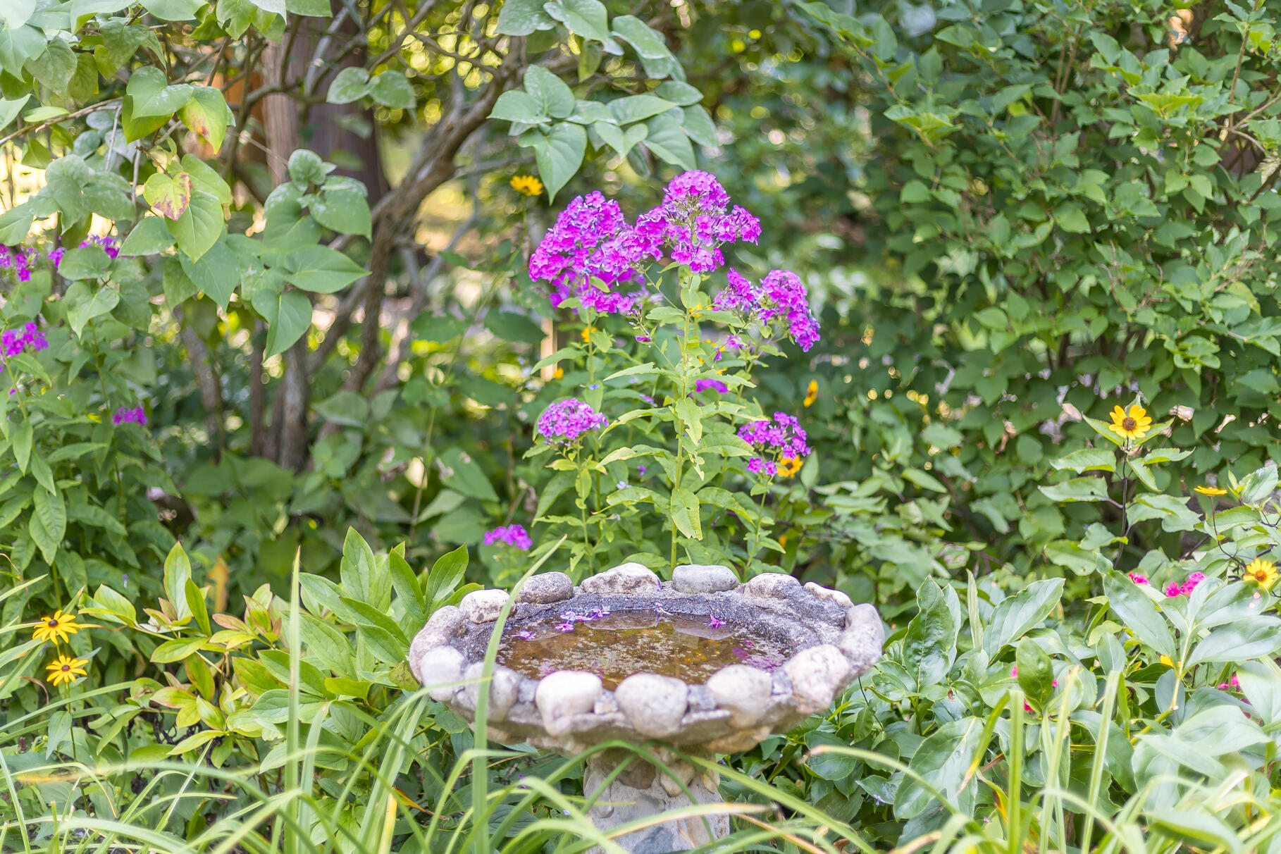 19 Willow Street Sandwich MA 02563