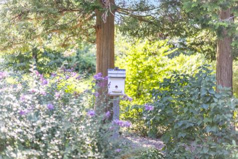 19 Willow Street Sandwich MA 02563