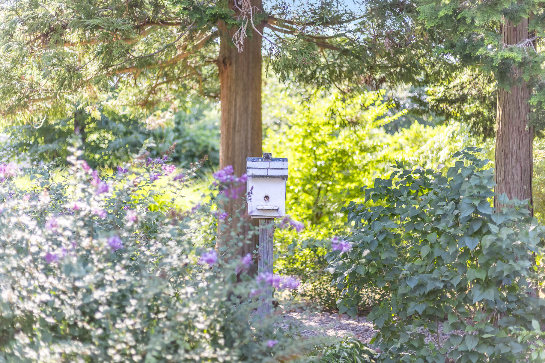 19 Willow Street Sandwich MA 02563