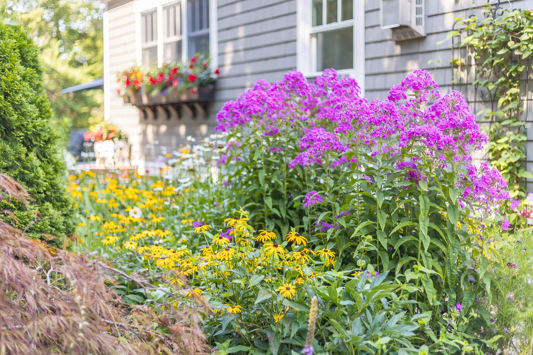 19 Willow Street Sandwich MA 02563