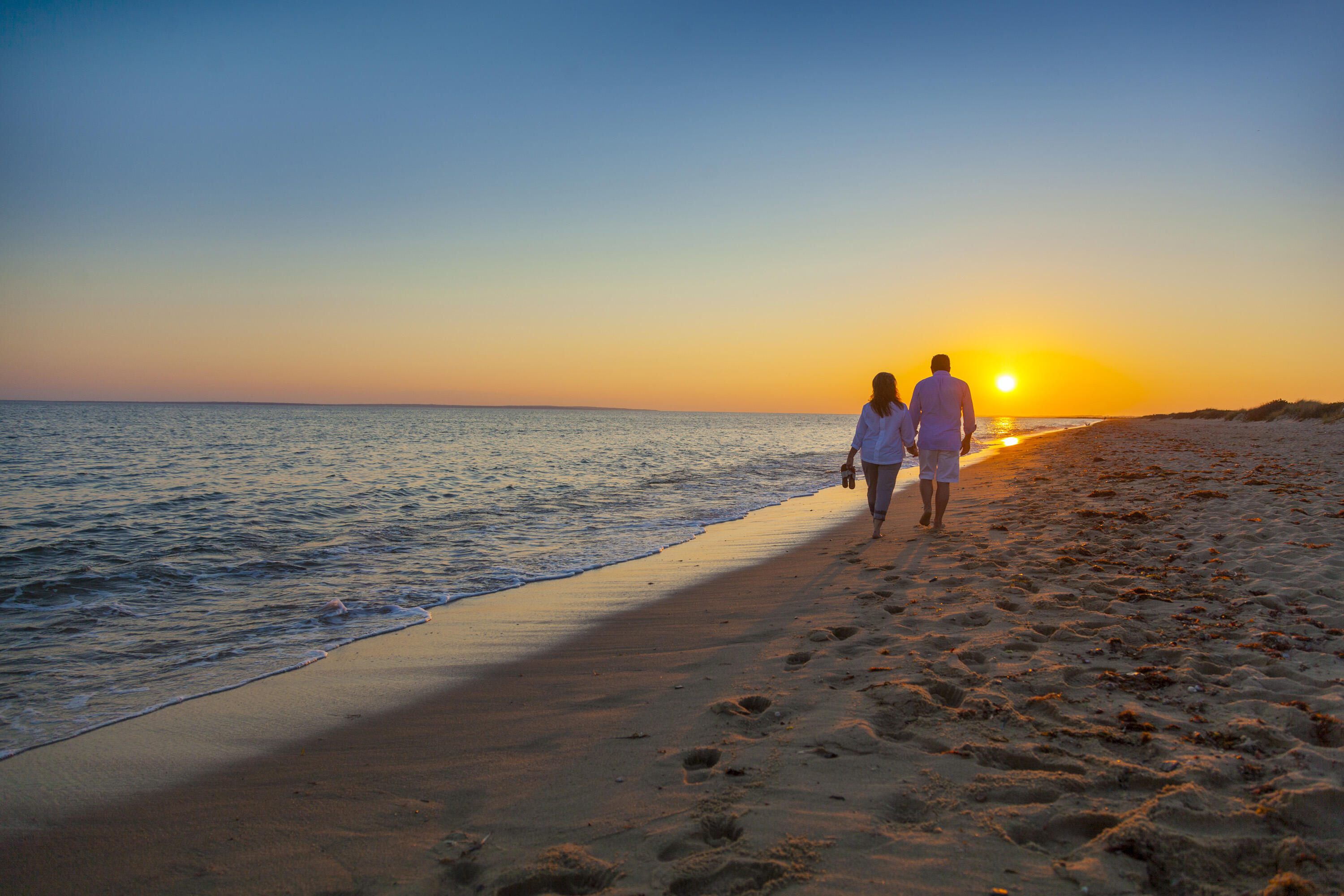 14 Azalea Lane Mashpee MA 02649