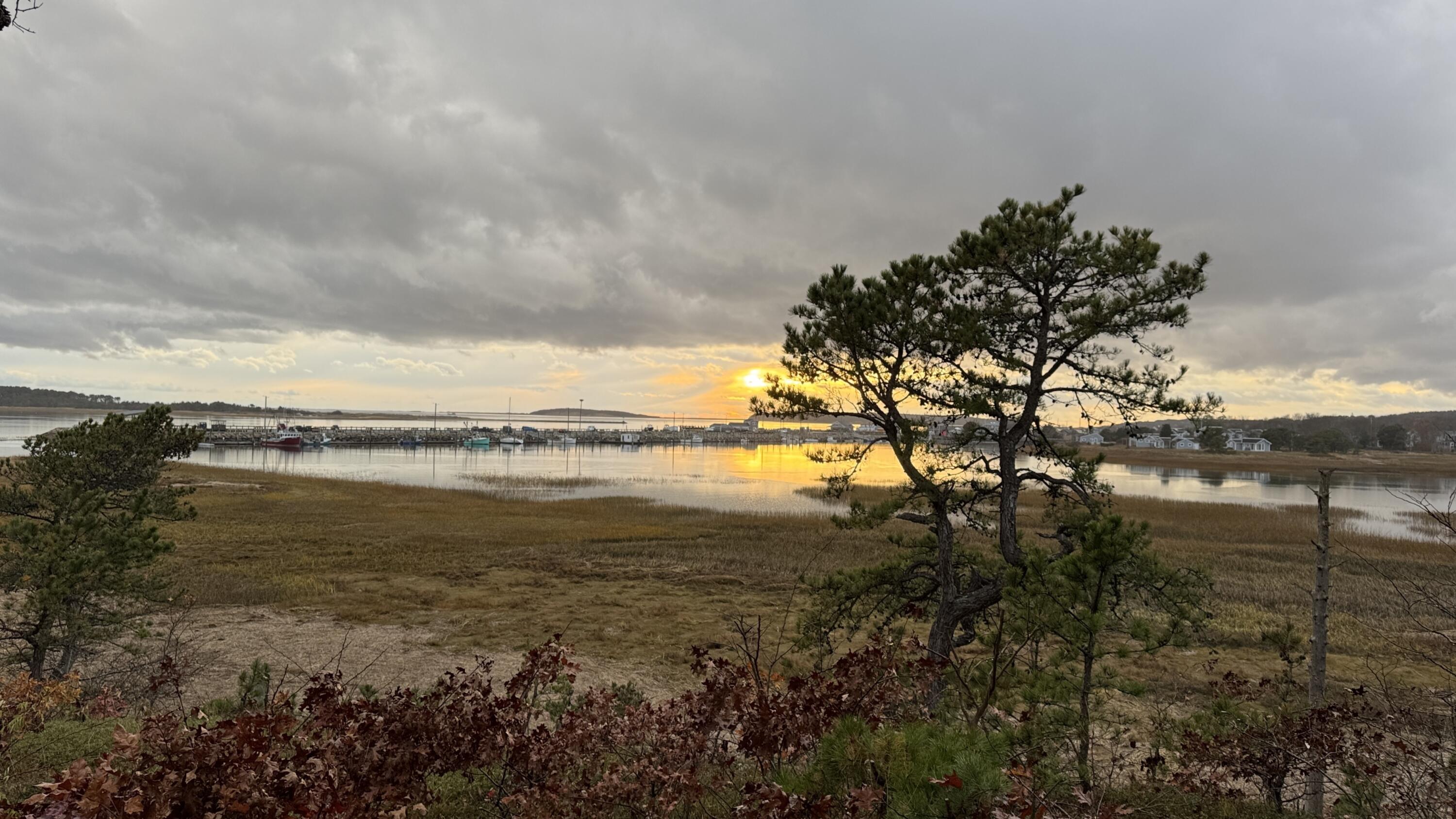 135 Marven Way Wellfleet MA 02667