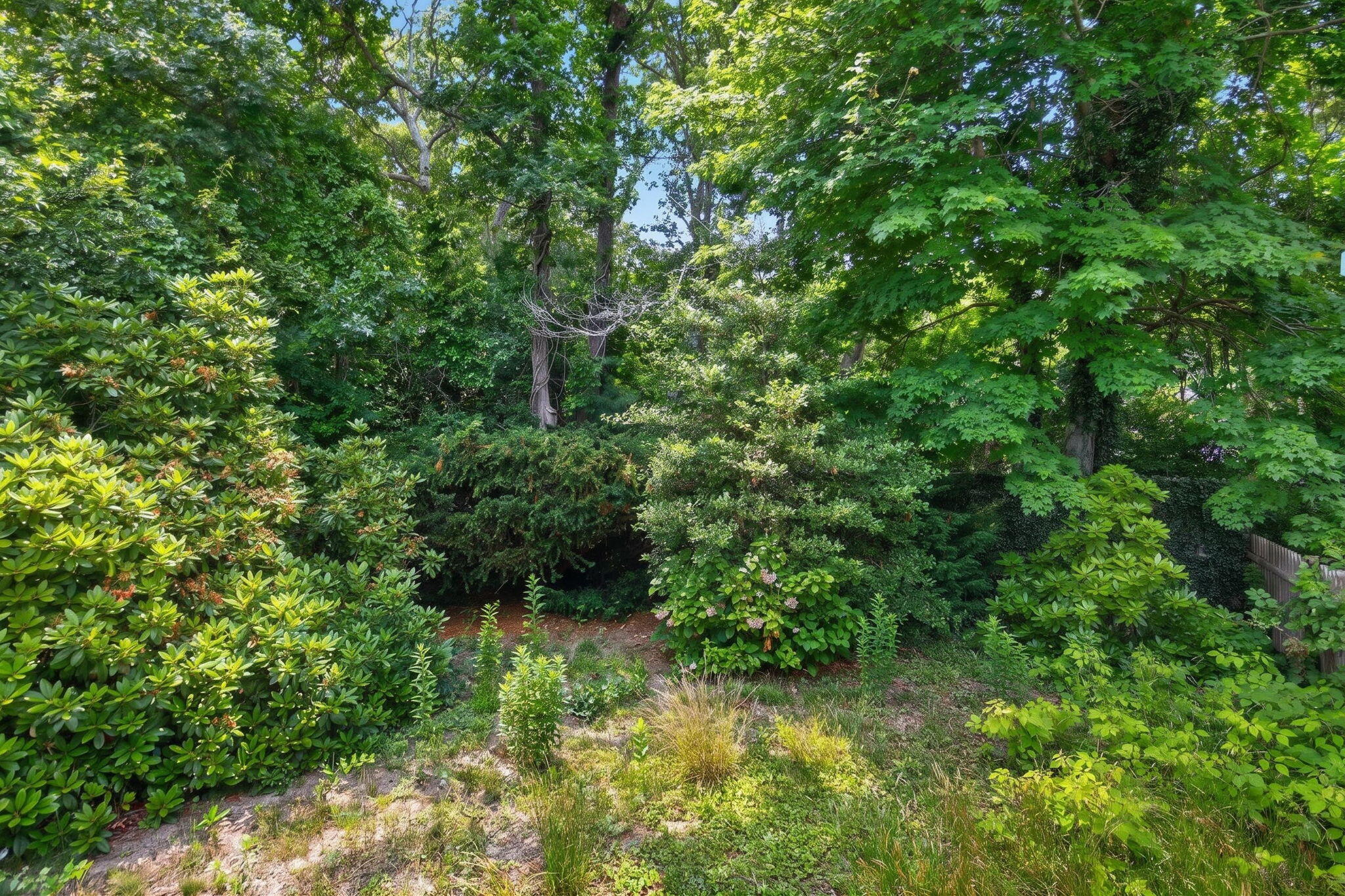 65 Richardson Road Centerville MA 02632