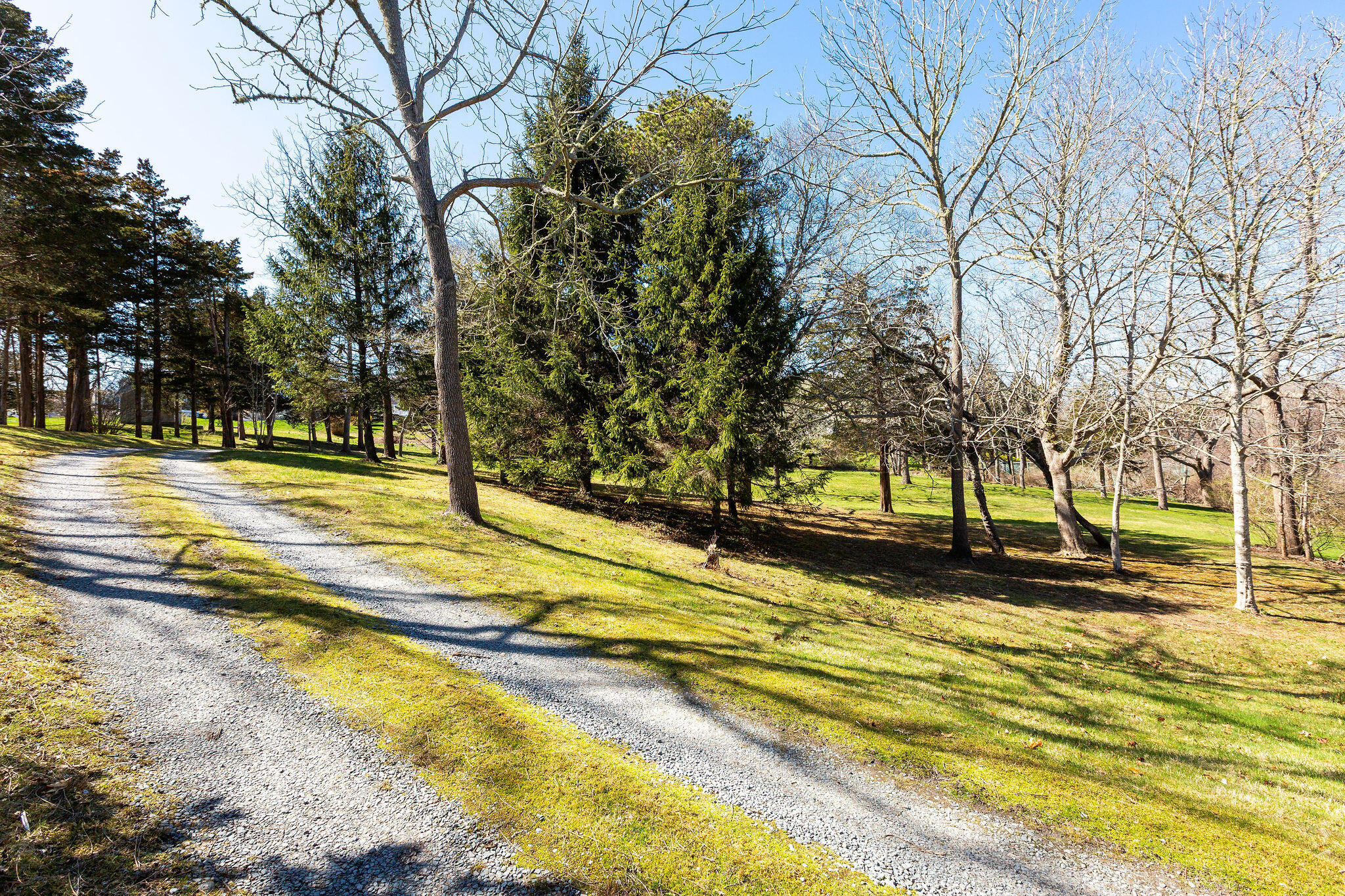 3 Bramblewood Lane Orleans MA 02653