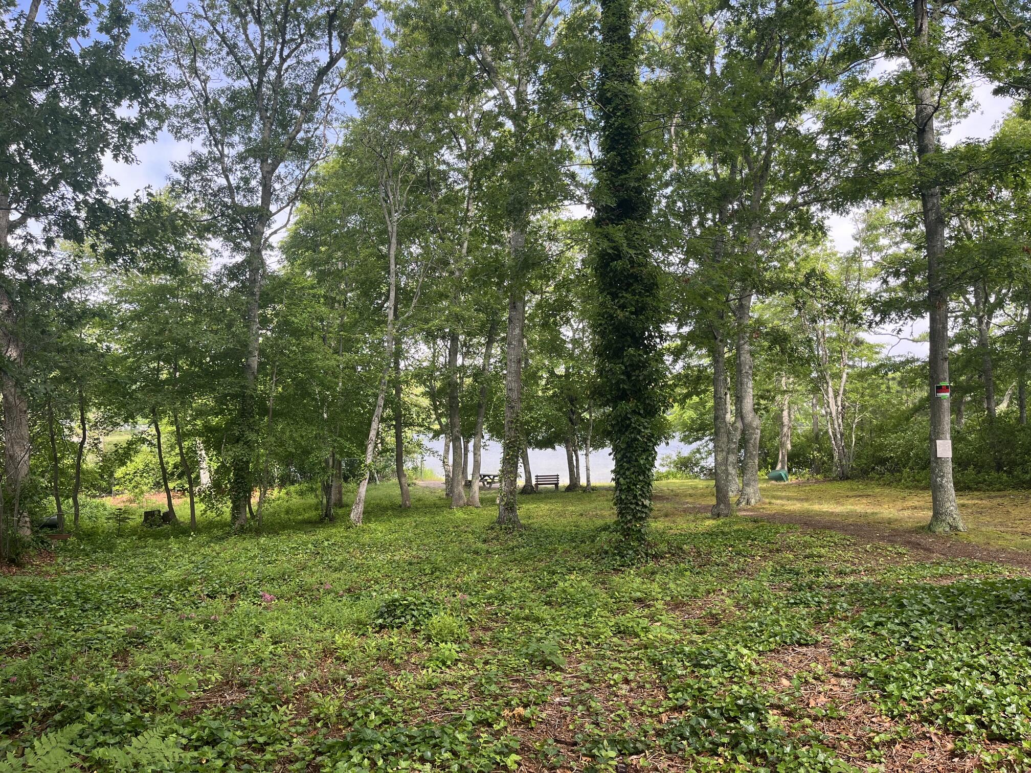 21 Norton Road West Yarmouth MA 02673