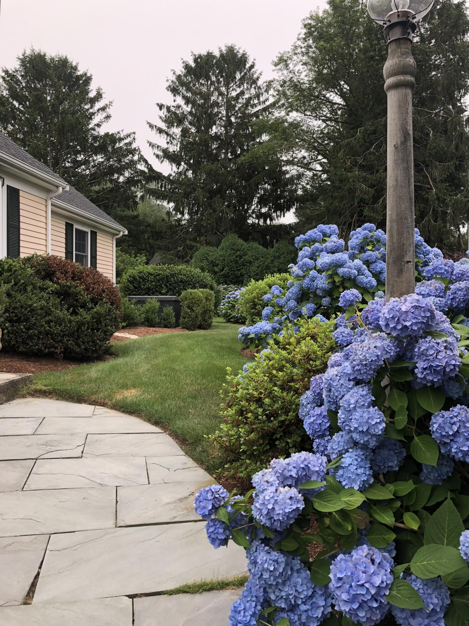 40 Riverview Lane Barnstable MA 02632