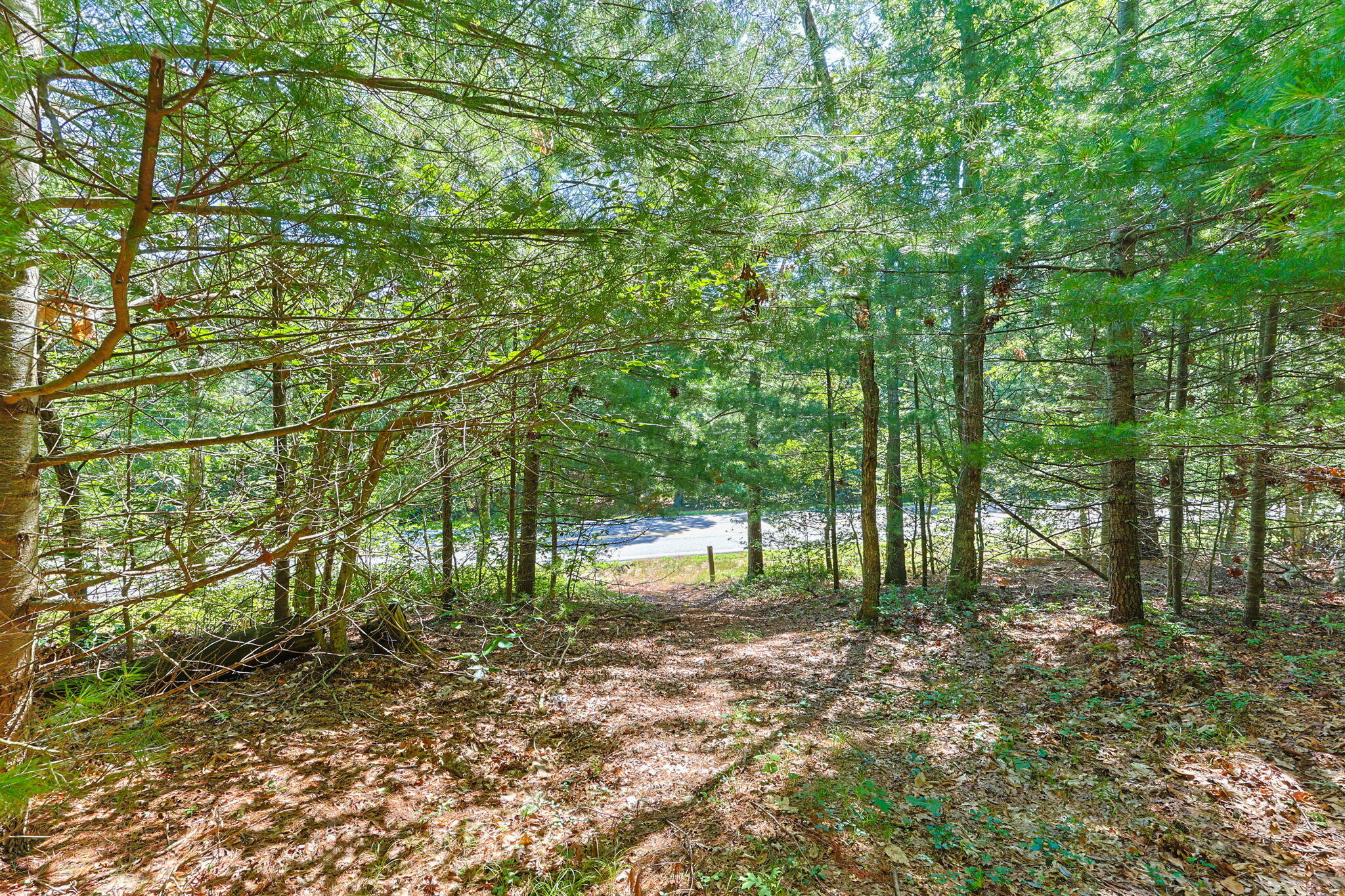 12 S Sandwich Road Sandwich MA 02563