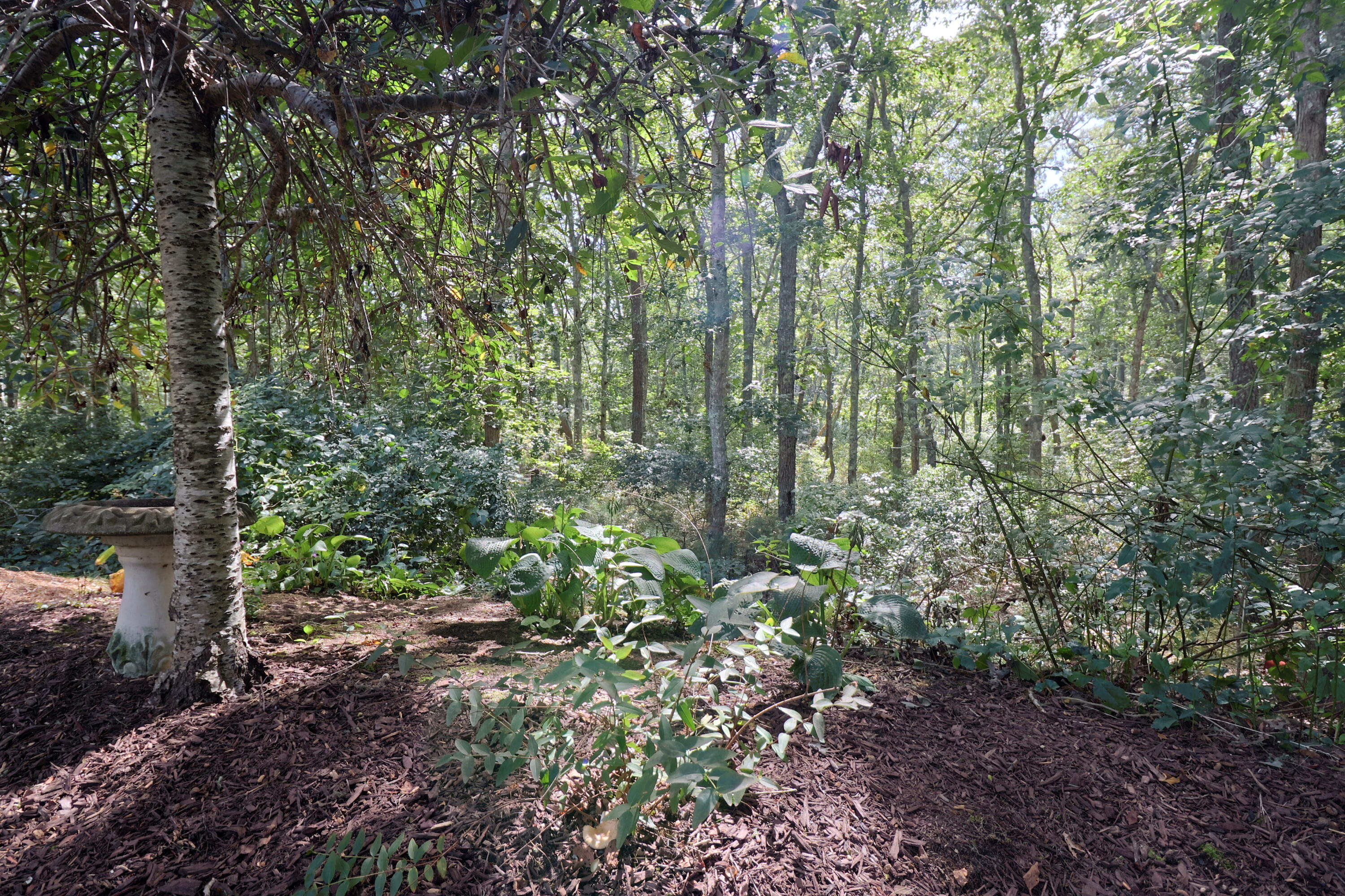 44 Fairway Drive East Dennis MA 02641