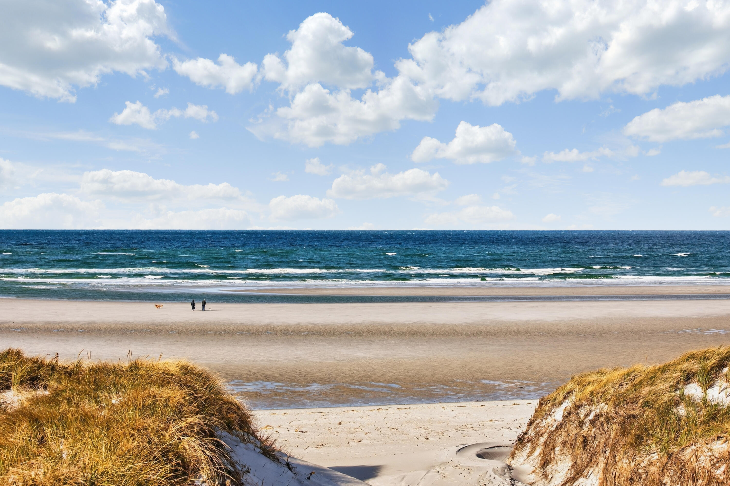 94 Horsefoot Path Dennis MA 02638