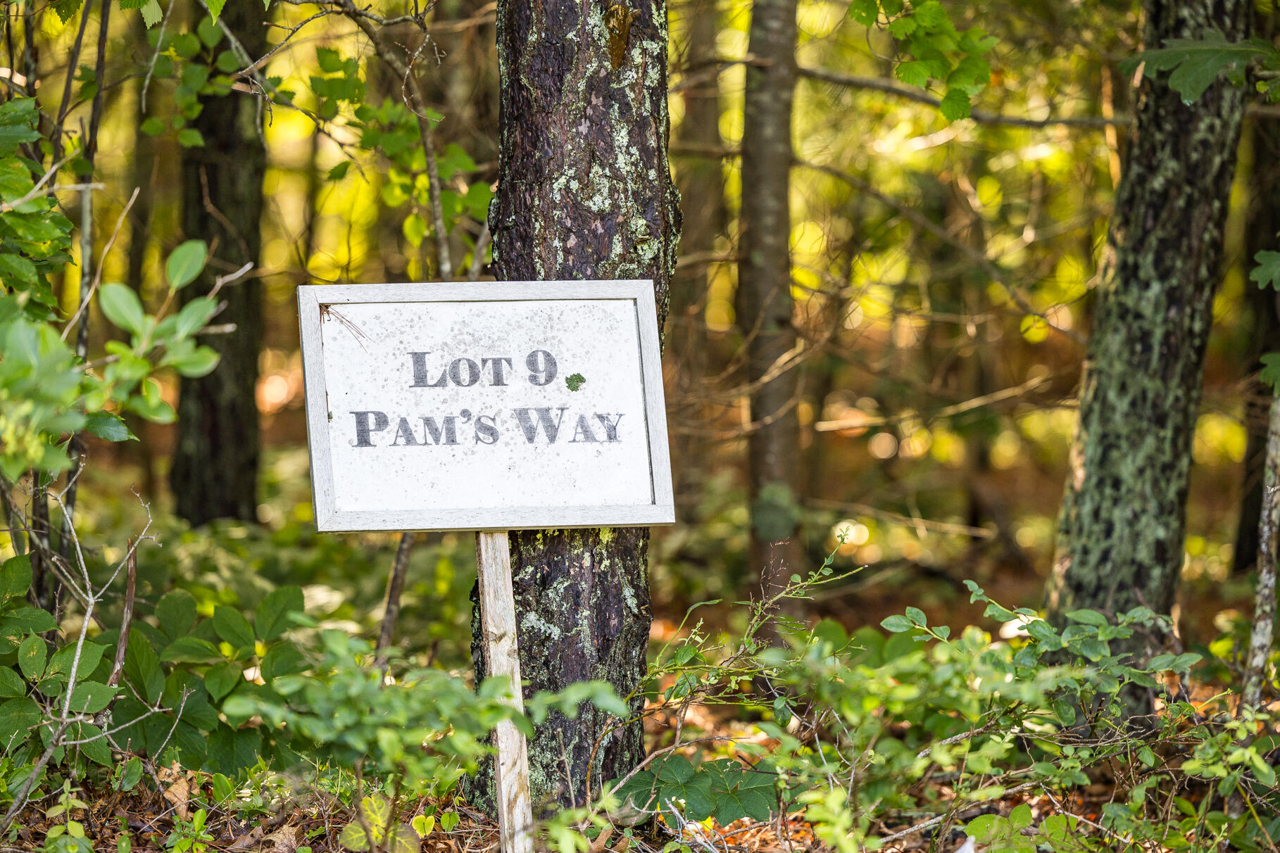 9 Pams Way East Falmouth MA 02536