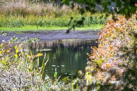 34 Lake Drive Orleans MA 02653